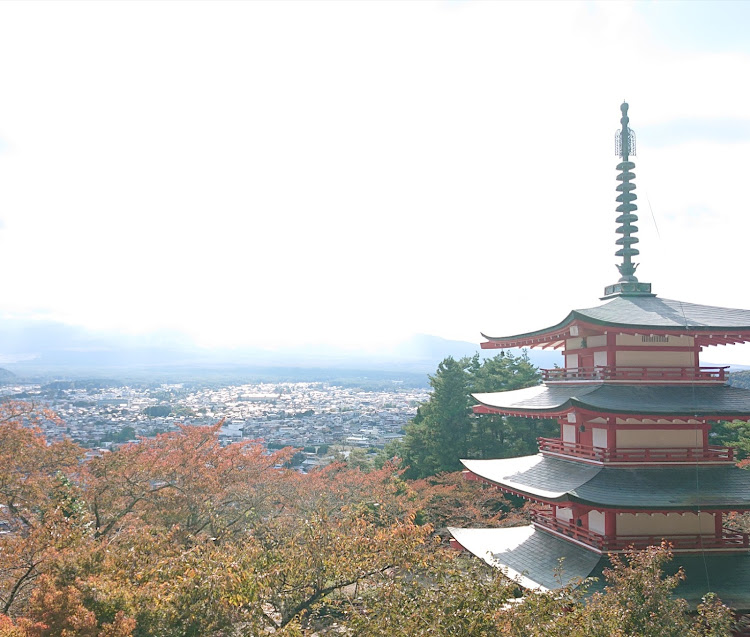 カローラスポーツの車種名エンブレムは無し派・神社巡り・ALMATORERO・キーカバーに関するカスタム事例の投稿画像11枚目