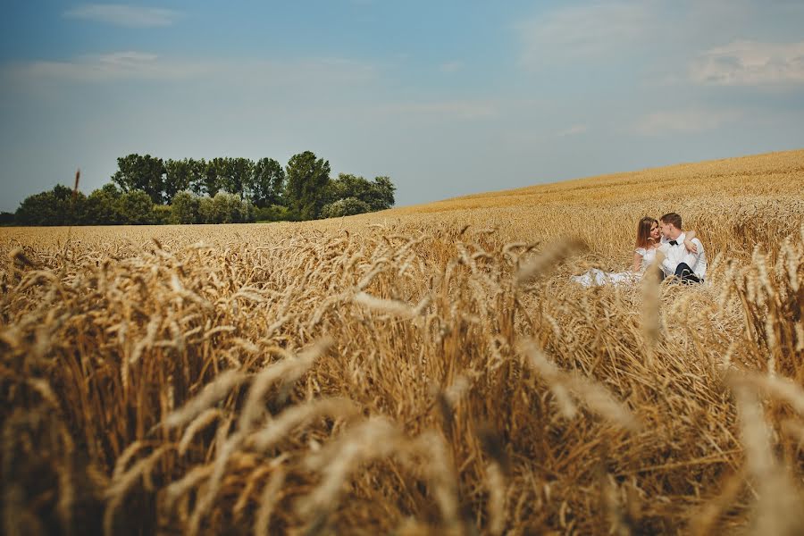 Hochzeitsfotograf Tomasz Schab (tomaszschab). Foto vom 14. September 2017