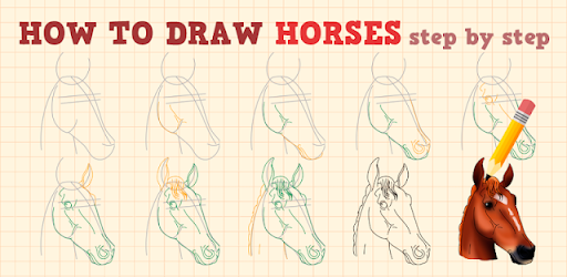 How to Draw Horses