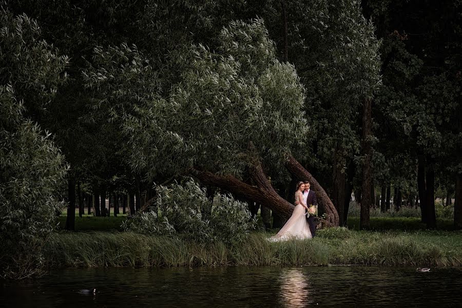 Wedding photographer Pavel Nemzorov (pavelnemzorov). Photo of 25 September 2017