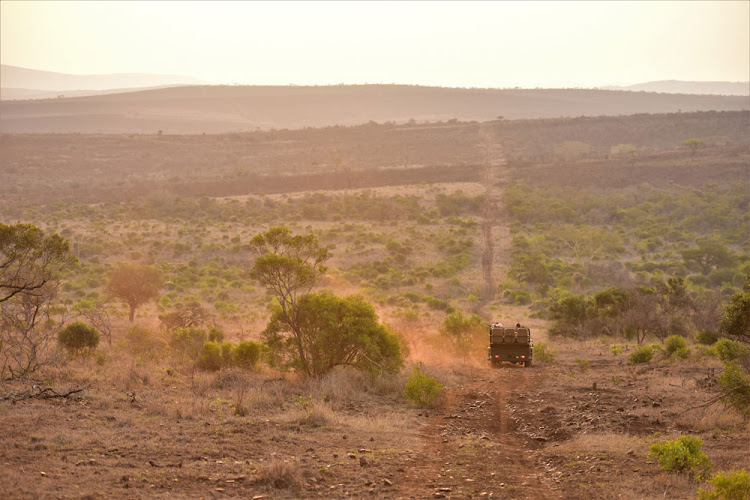 Bayala Game Drive.