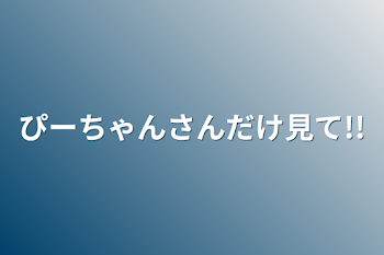 ぴーちゃんさんだけ見て!!