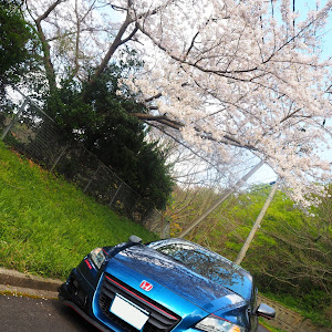 CR-Z ZF1