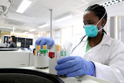 A National Health Laboratory Service worker examines specimens captured for testing. The number of Covid-19 cases in SA on Wednesday reached 224,665.