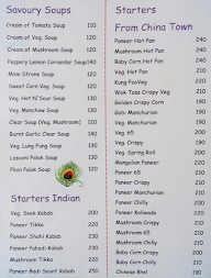 Krishna Family Restaurant menu 5