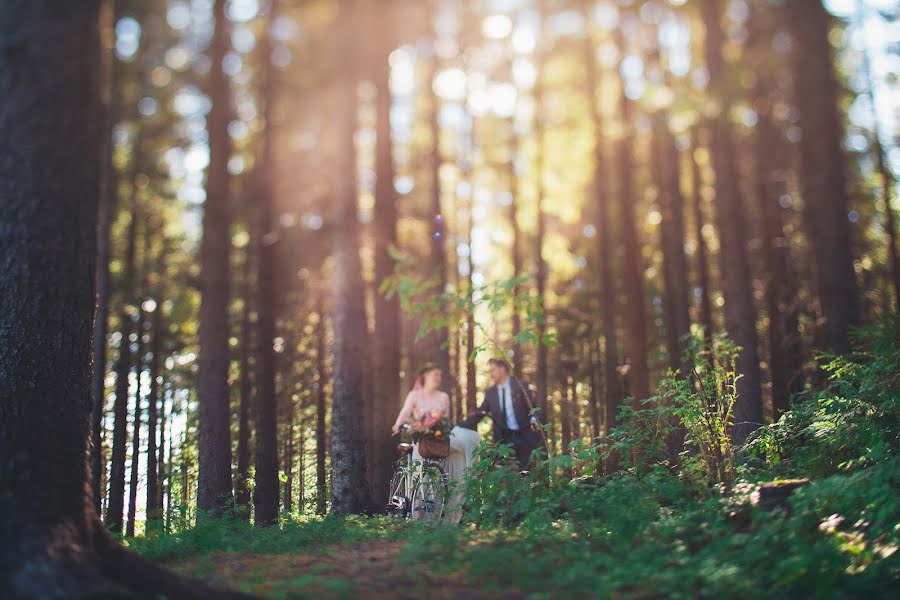 Fotografo di matrimoni Aleksandr Ugarov (ugarov). Foto del 5 dicembre 2014