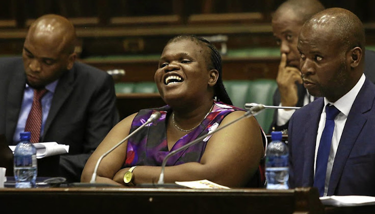 Former public service minister Faith Muthambi is the new co-operative governance chair.