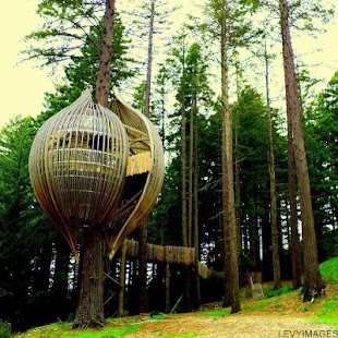 Tree House Designs Ideas Screenshots 4