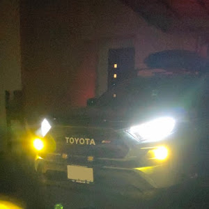 RAV4 MXAA54