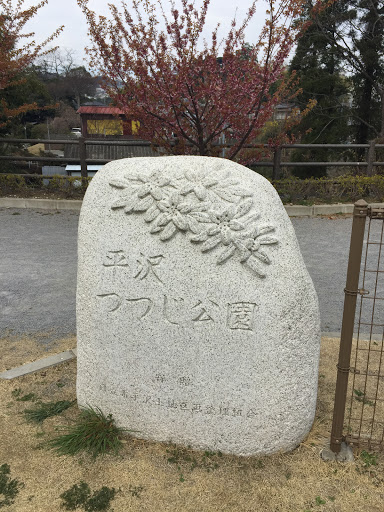 平沢つつじ公園