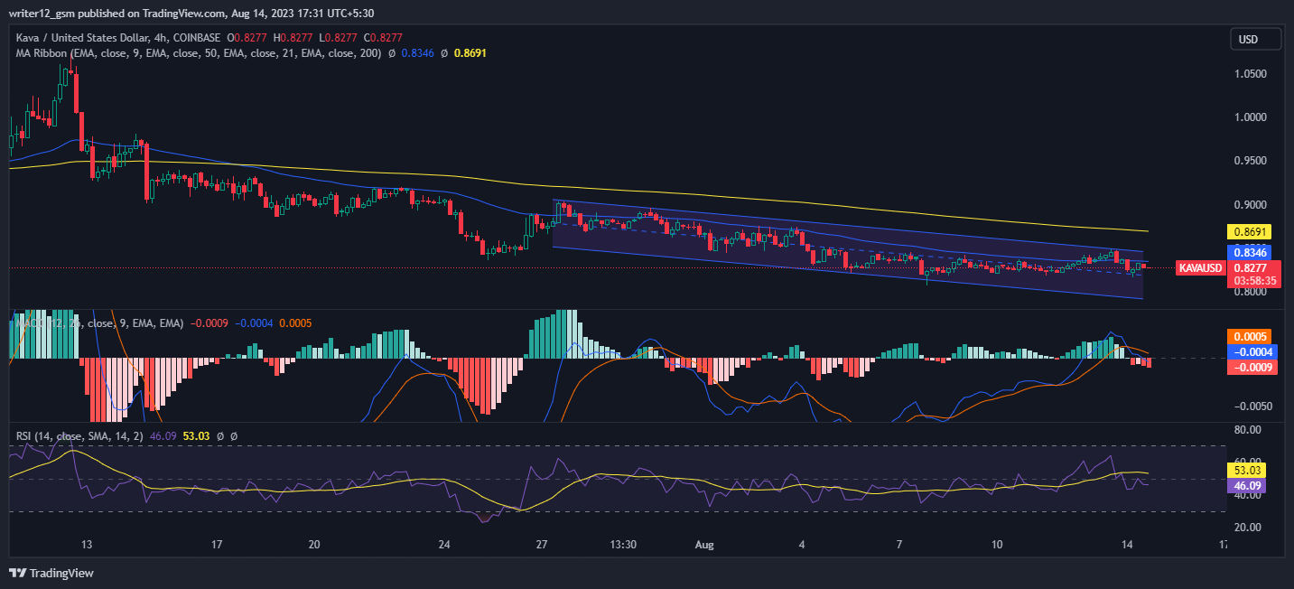 KAVA Crypto: The Bullish and Bearish Arguments for 2023