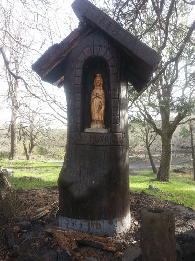 Madonna Nell Albero