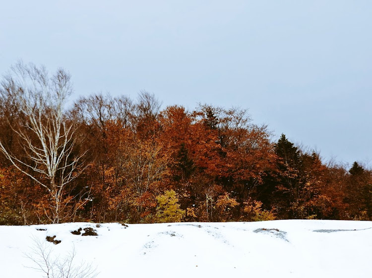ポロのポロGTI・紅葉と愛車・紅葉・紅葉と雪に関するカスタム事例の投稿画像2枚目