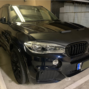 X5 F15