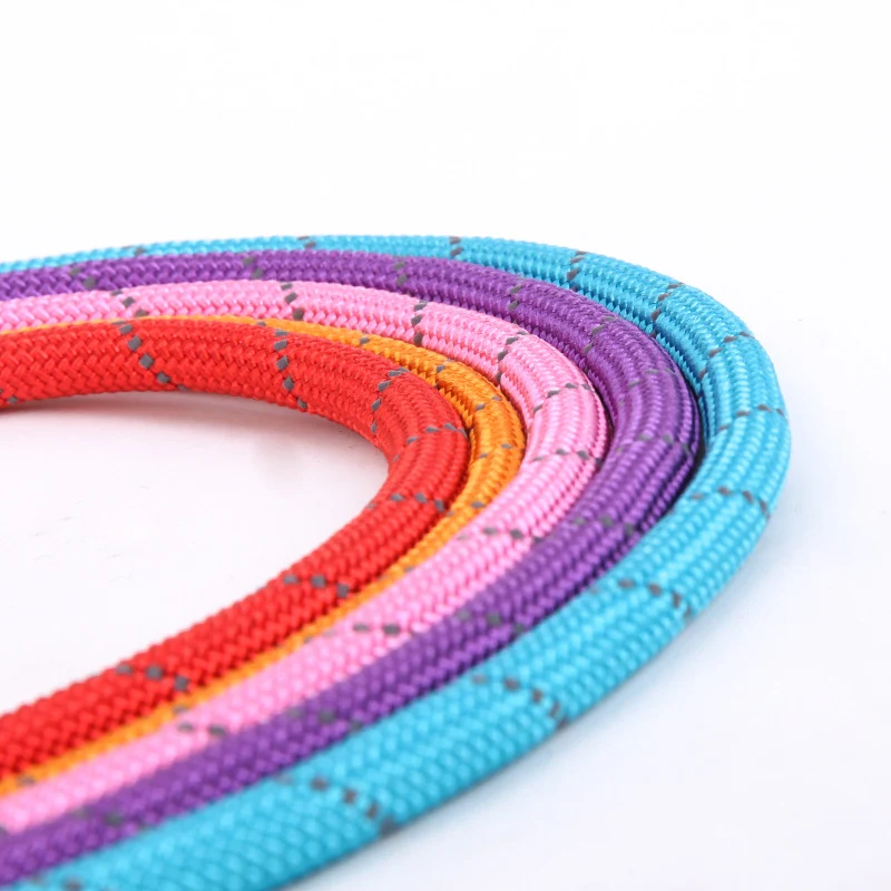 Reflecterende zijden hyena-riem voor veilige nachtwandelingen. Luxe design en uitstekende zichtbaarheid. Optimale controle over je huisdier.