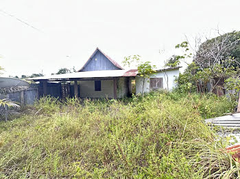 maison à Iracoubo (973)