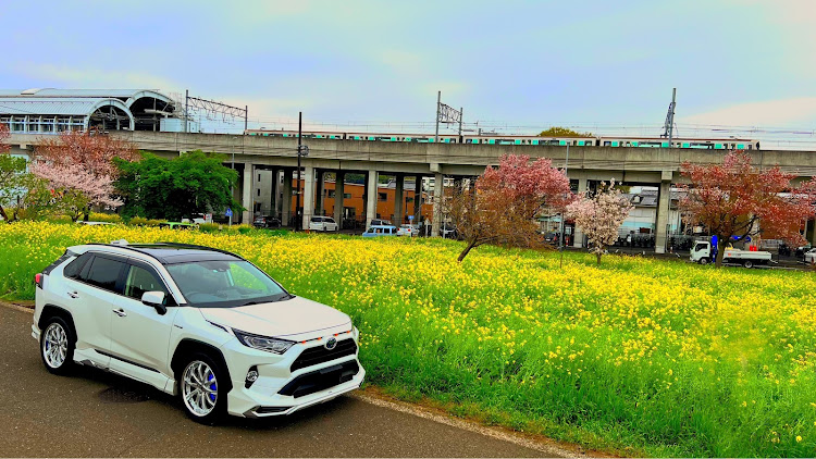 RAV4の橋と愛車・RAV4・RAV4HYBRID・AXAH54・川和町駅に関するカスタム事例の投稿画像1枚目