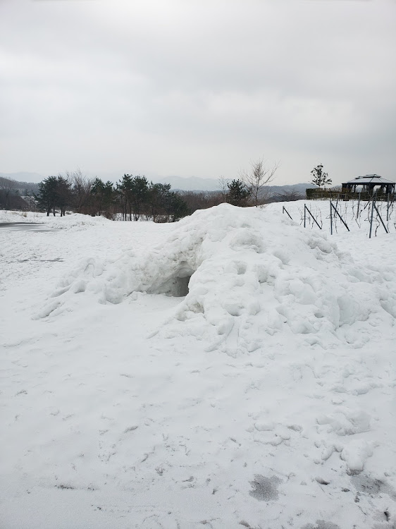 ミニ コンバーチブルの　　　　　　　出雲のおっさんさんが投稿したカスタム事例の投稿画像5枚目