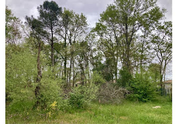 terrain à Saint-Aubin-de-Médoc (33)