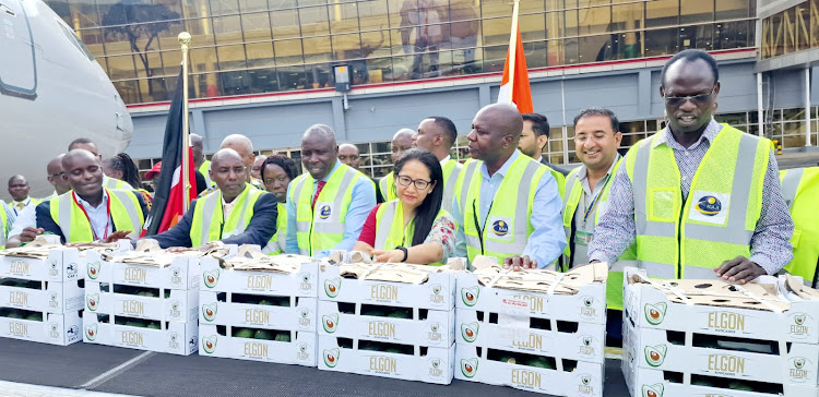 The first consignment of Kenyan avocados is flagged to India from Jomo Kenyatta International Airport on September 16, 2023