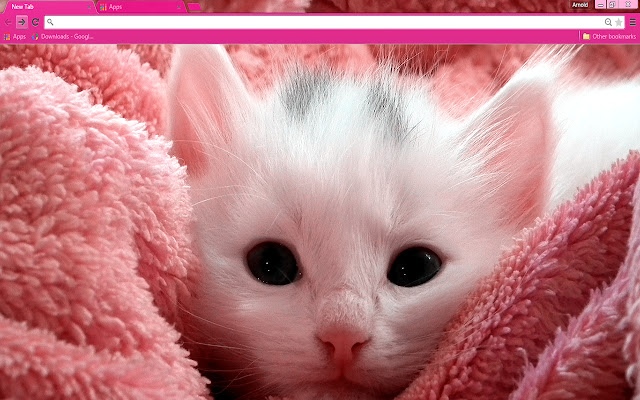 Pink Kitten chrome extension