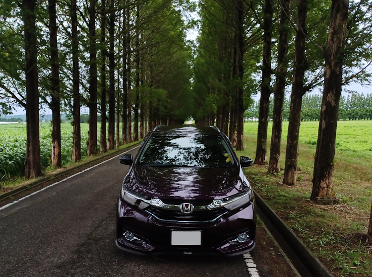 シャトルのSAMURAI Z1・カメ活スポット教えて下さい🙇‍♂️・朝活ドライブに関するカスタム事例の投稿画像1枚目