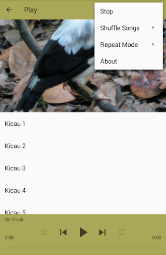 Masteran Burung Jalak Putih