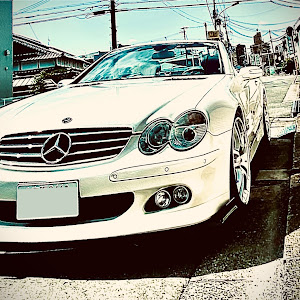 SL R230