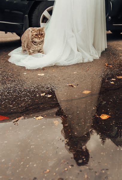 Wedding photographer Andrey Ryzhkov (andreyryzhkov). Photo of 21 January 2019