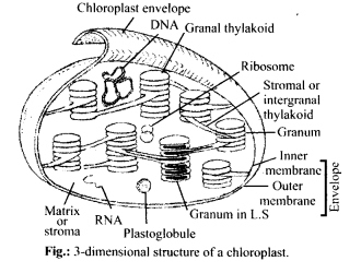 Solution Image