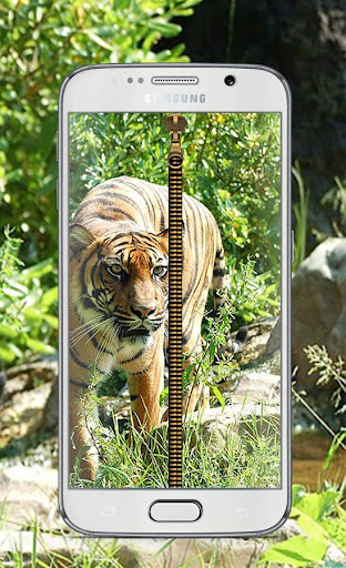 Tiger Lock Screen Zipper