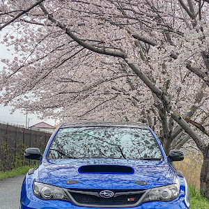 インプレッサ WRX STI GVB