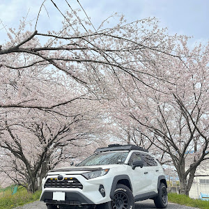 RAV4 MXAA54