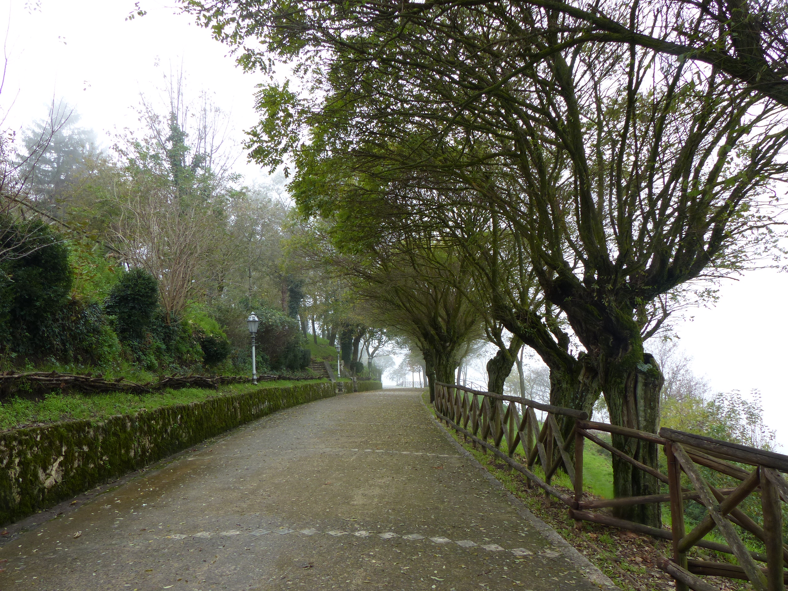 Percorso tra la natura..... di carm_ian_