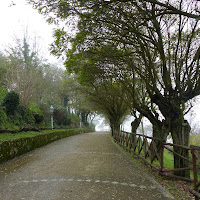 Percorso tra la natura..... di 