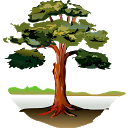 تنزيل Trees التثبيت أحدث APK تنزيل