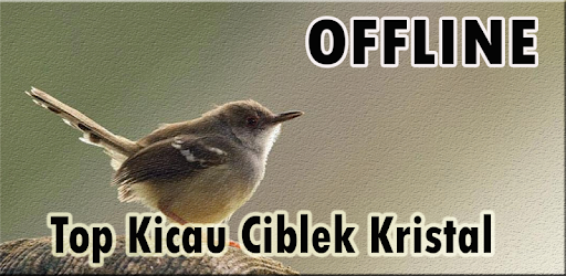 Suara Burung Ciblek Kristal Gacor On Windows Pc Download Free 1 0 Com Andromo Dev623619 App730255