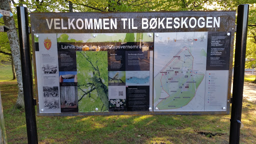 Bøkeskogen 