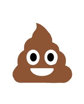 💩