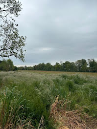 terrain à Saint-Lys (31)