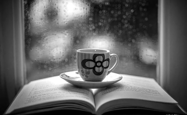 Caffè e lettura  di PauloSilva