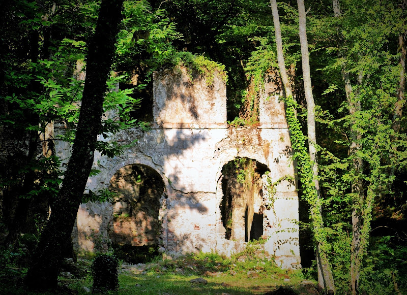 la casa nel bosco di AGATA