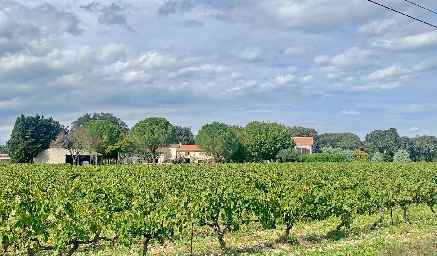 Vignoble Richerenches