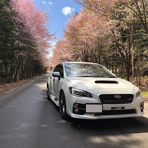 WRX STI VAB