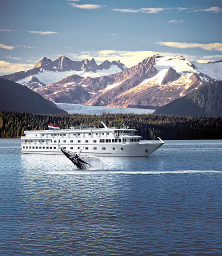 Let the American Spirit take you to Alaska, where you take in the majestic scenery while whale watching. 