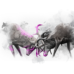 PINK SERIES - DEER