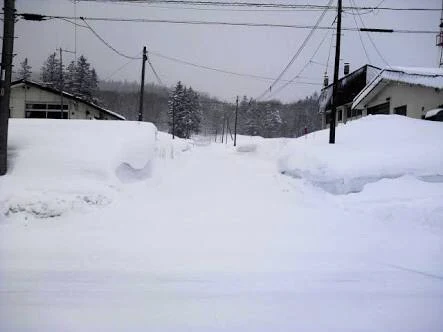 「積雪」のメインビジュアル