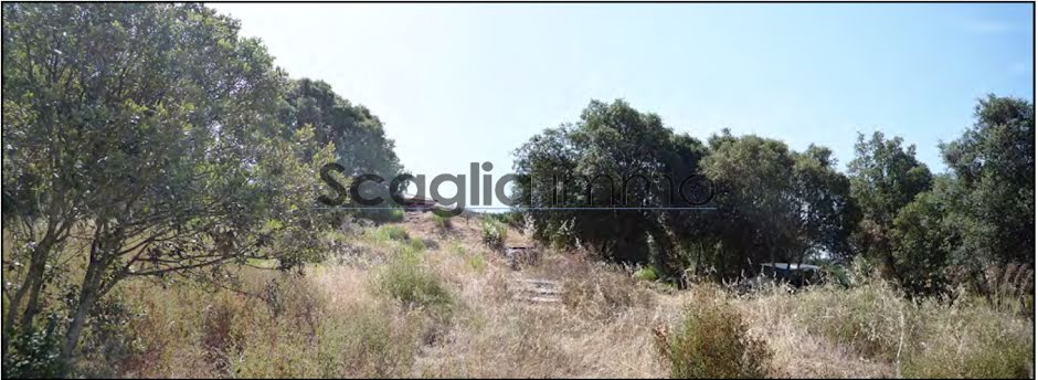 Vente terrain  1330 m² à Porticcio (20166), 845 000 €