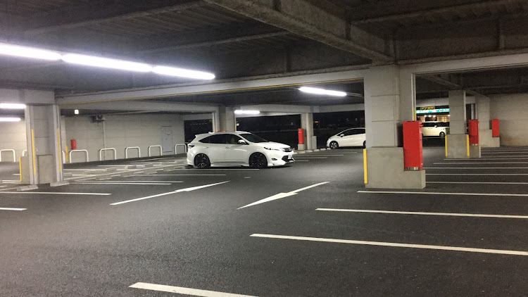 ハリアーの洗車できず⤵︎・偏頭痛・ウチの猫・2018ベストショットに関するカスタム事例の投稿画像3枚目