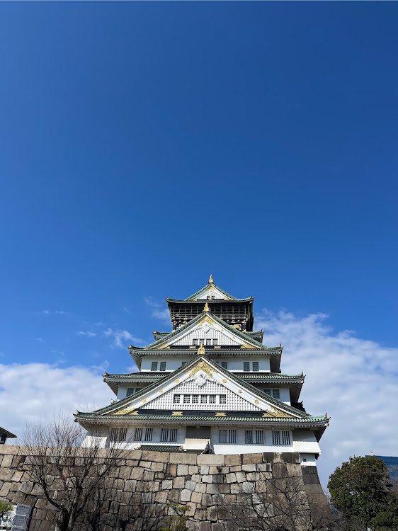 ハイエースの修学旅行の代わりに・万博会場は何処や〜❗️❗️・バード🐦は酒のアテ🍻・仲間との楽しい時間・九州コーマンズに関するカスタム事例の投稿画像12枚目